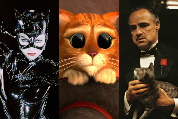 Los 25 Gatos Mas Fascinantes Del Cine Fotos E Online Latino Mx